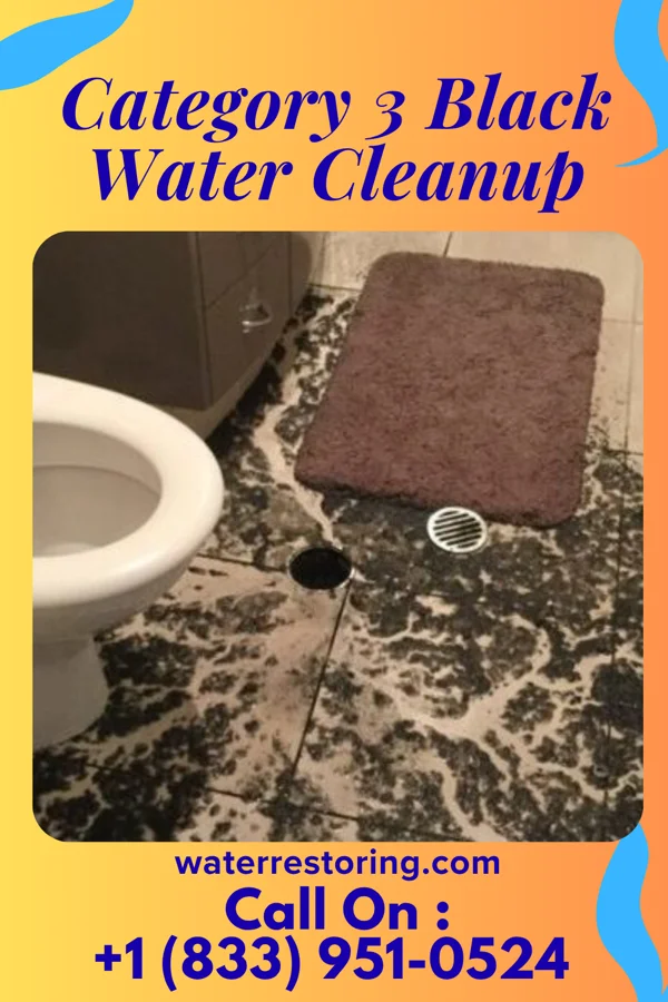 Category 3 Black Water Cleanup in Buffalo, MO